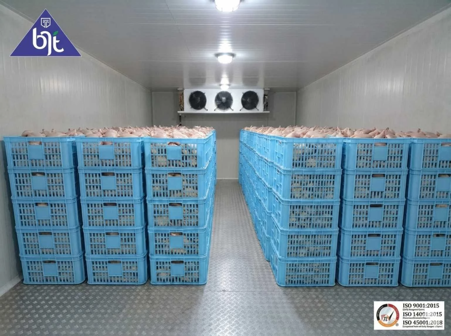 Pengertian, Jenis, Suhu Ideal, dan Cara Memilih Cold Storage Terbaik untuk Bisnis